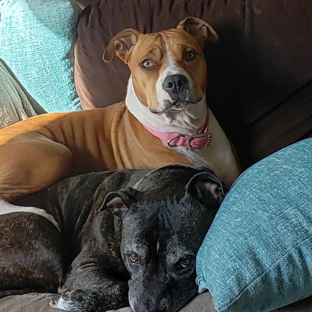 Meet your Posher, Patricia